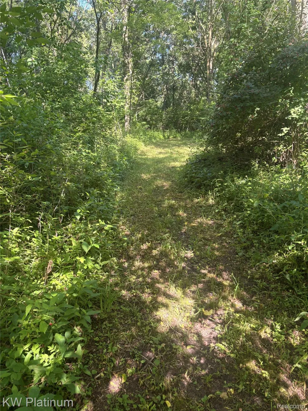 7280 North Road Burtchville Township, MI 48059