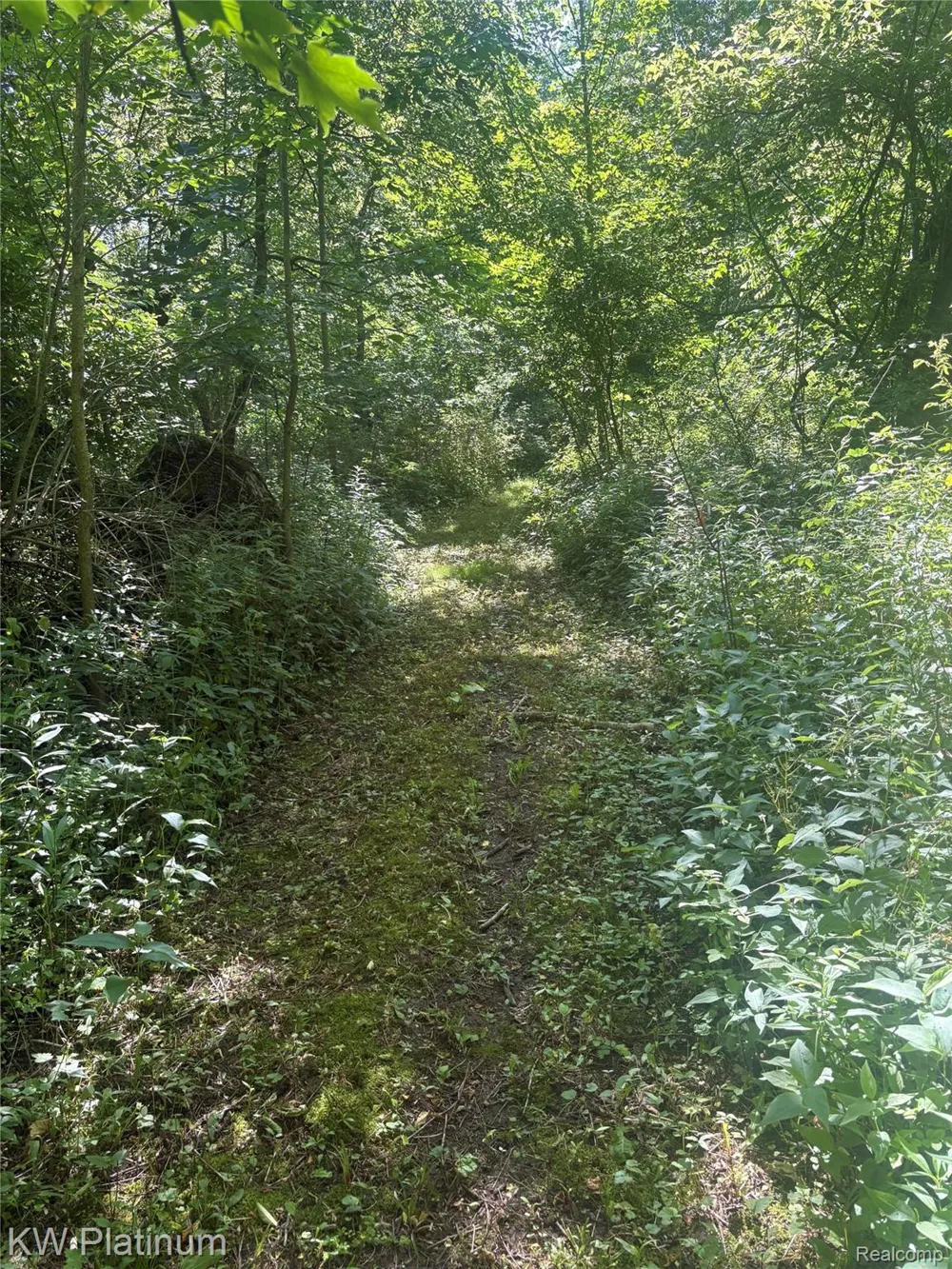 7280 North Road Burtchville Township, MI 48059