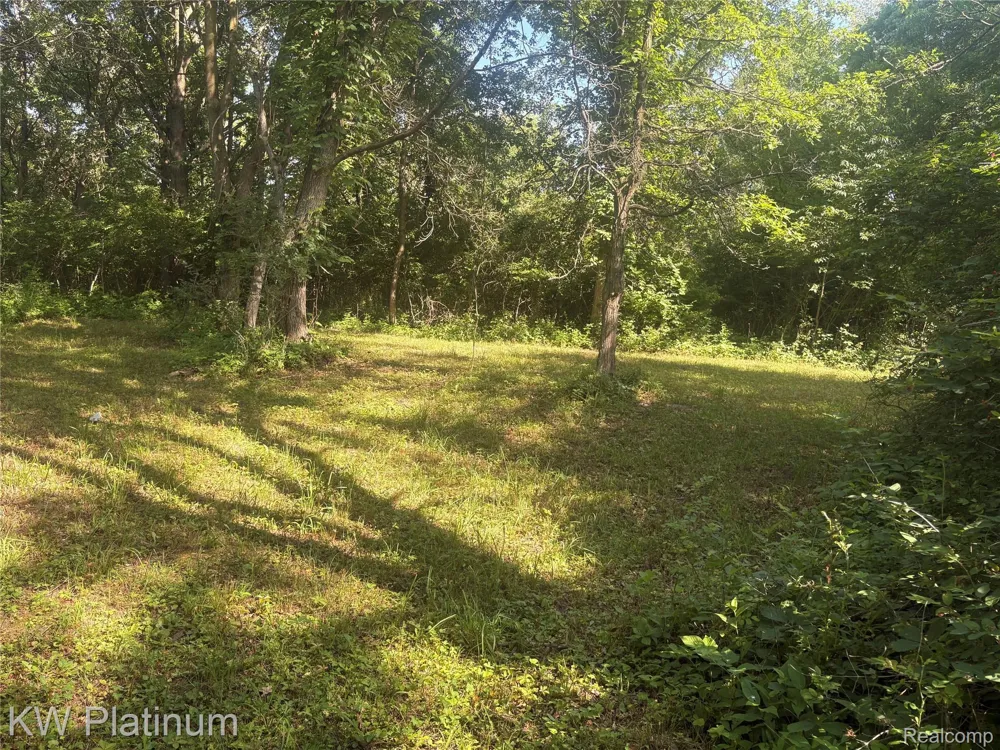 7280 North Road Burtchville Township, MI 48059