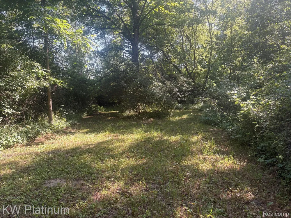 7280 North Road Burtchville Township, MI 48059