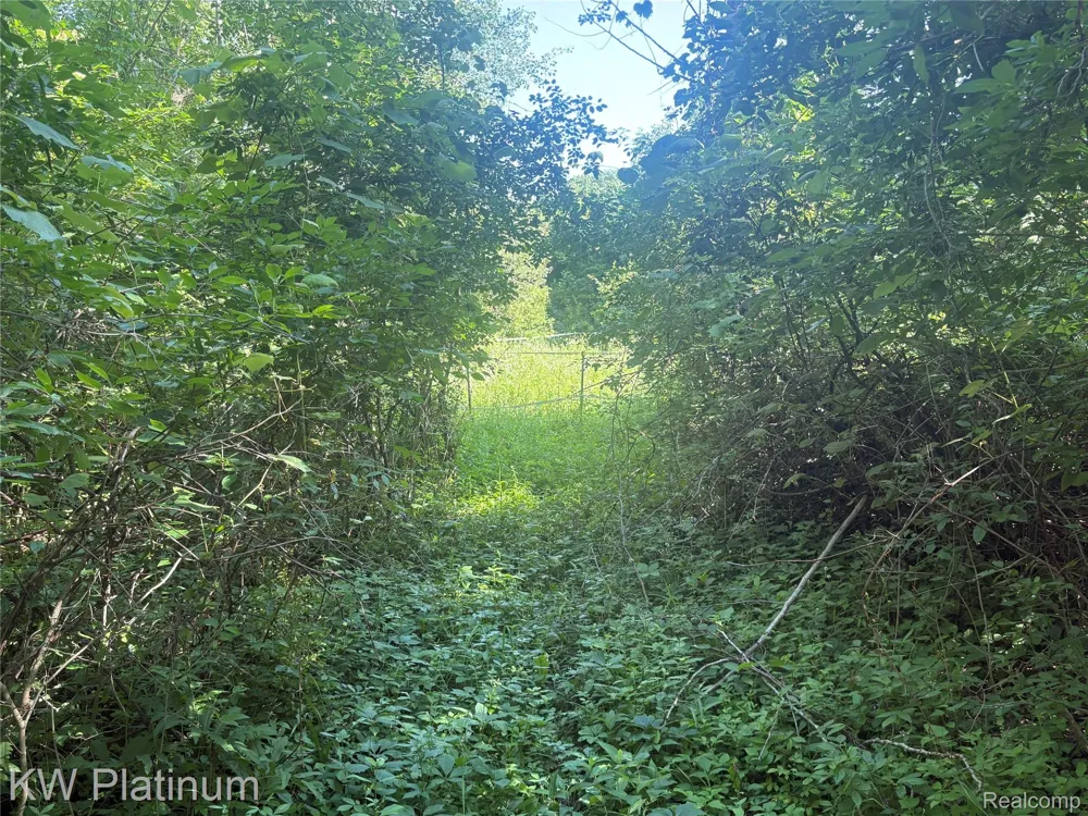 7280 North Road Burtchville Township, MI 48059