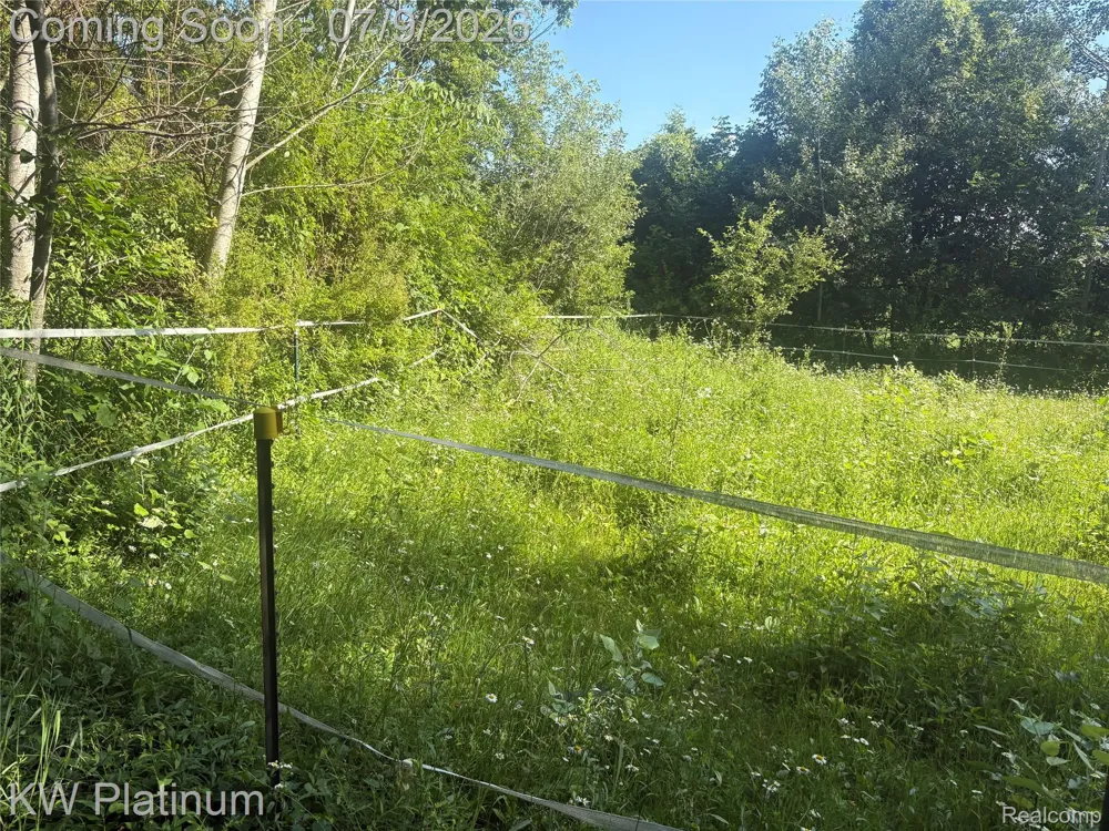7280 North Road Burtchville Township, MI 48059