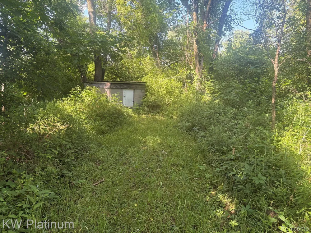 7280 North Road Burtchville Township, MI 48059