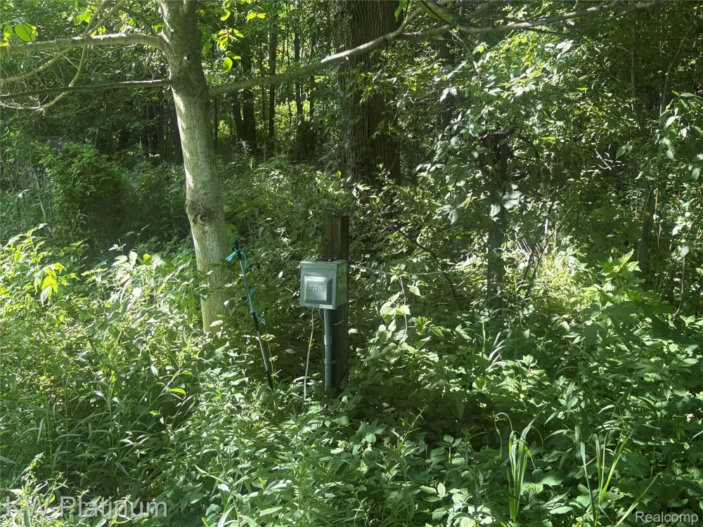 7280 North Road Burtchville Township, MI 48059