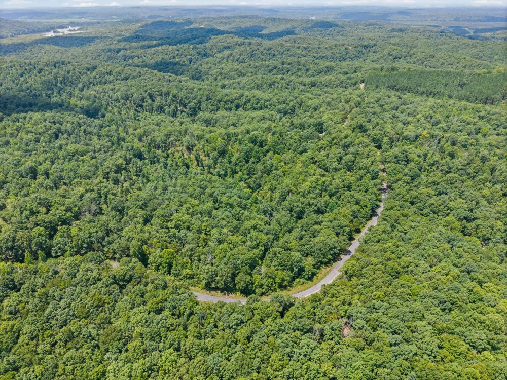 3519 Owl Hollow Rd Linden, TN 37096