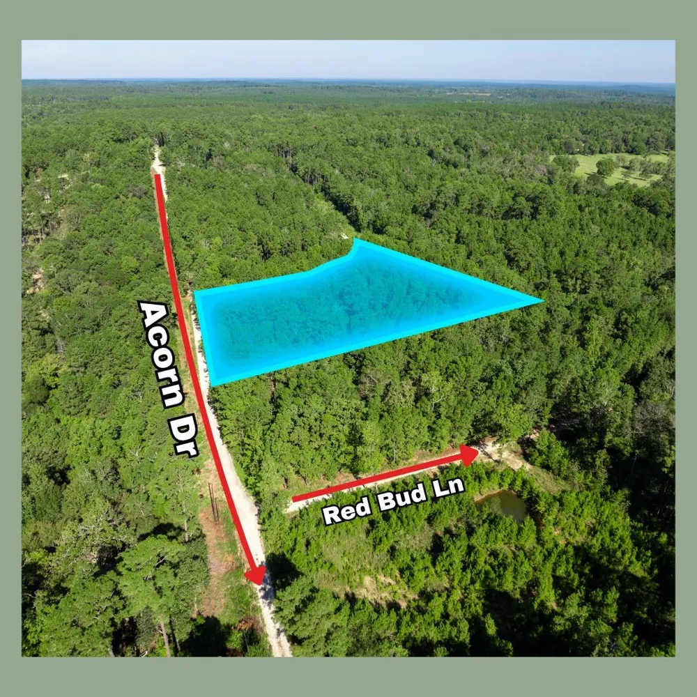 72 Sweetgum Lane Oakhurst, TX 77359