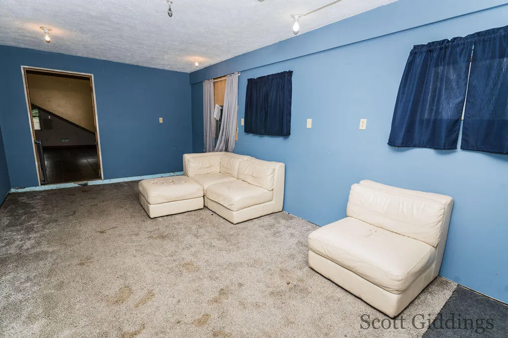 1402 E Deaner Road NE Edmore, MI 48829