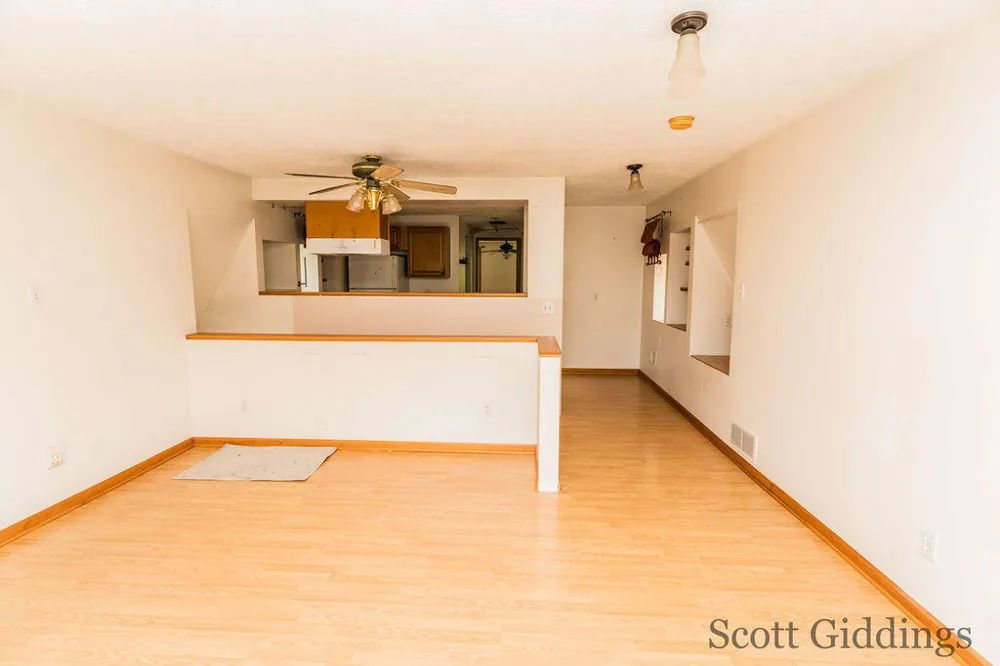 1402 E Deaner Road NE Edmore, MI 48829