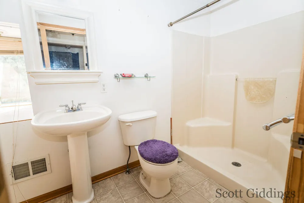 1402 E Deaner Road NE Edmore, MI 48829