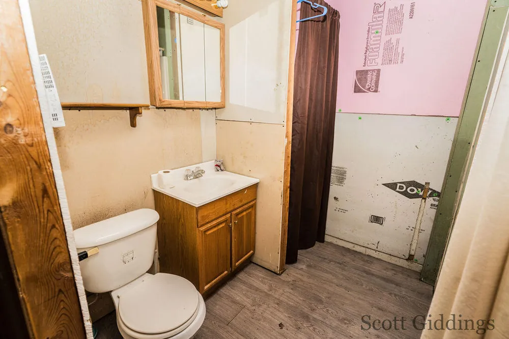 1402 E Deaner Road NE Edmore, MI 48829