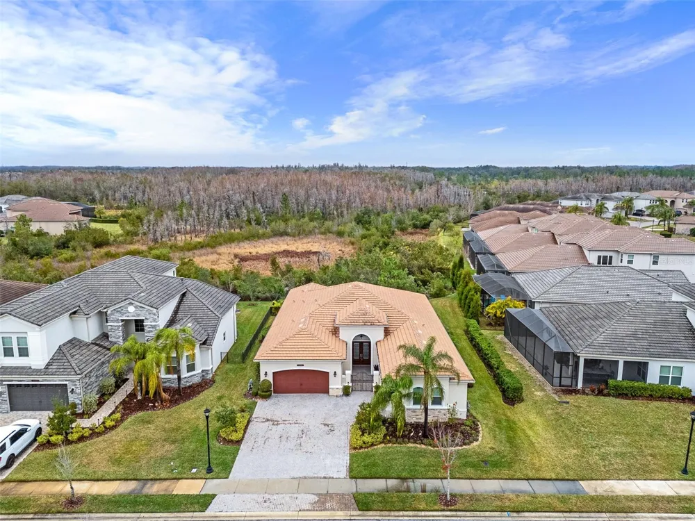 30715 TUMBLEBERRY STREET Wesley Chapel, FL 33543