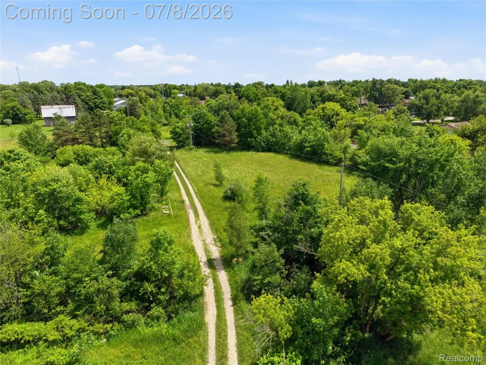 12229 Baldwin Road Gaines Township, MI 48436