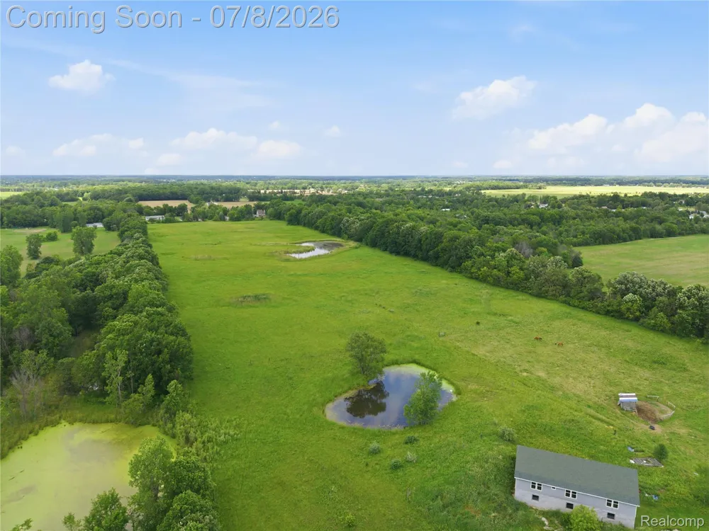12229 Baldwin Road Gaines Township, MI 48436