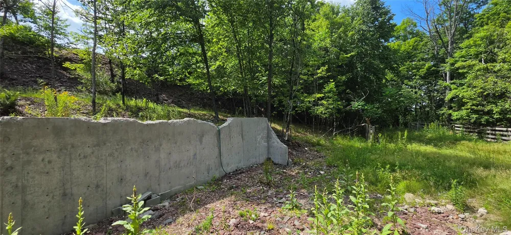290 Cypert Road Woodbourne, NY 12788