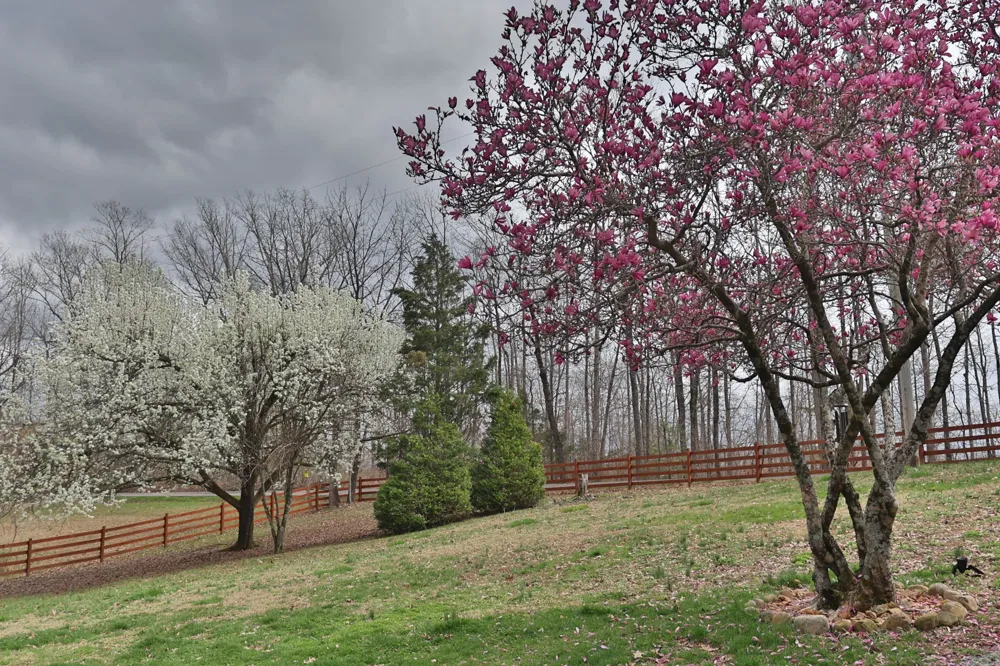 1660 Leatherwood Rd White Bluff, TN 37187
