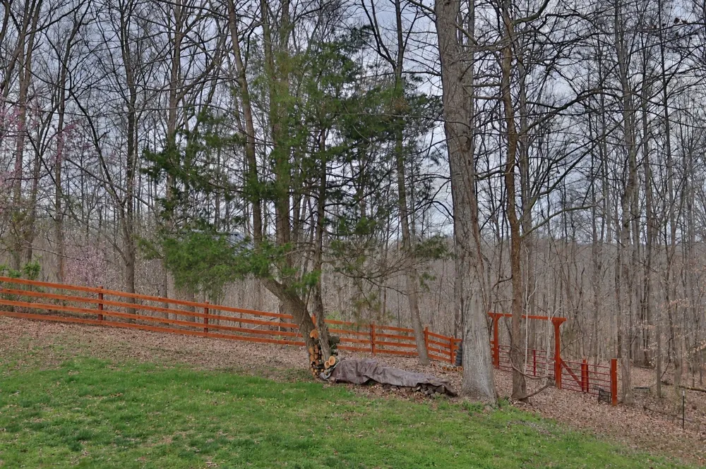 1660 Leatherwood Rd White Bluff, TN 37187