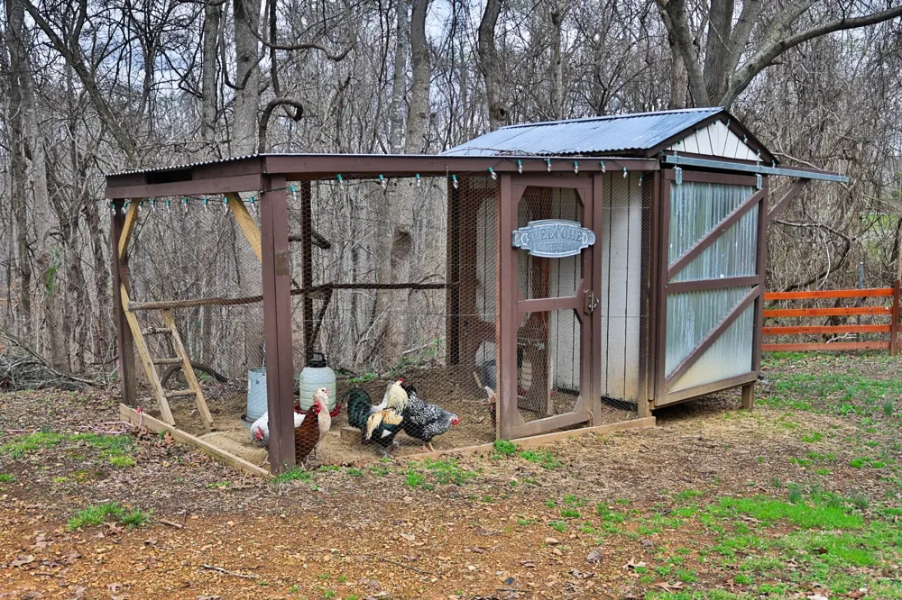 1660 Leatherwood Rd White Bluff, TN 37187