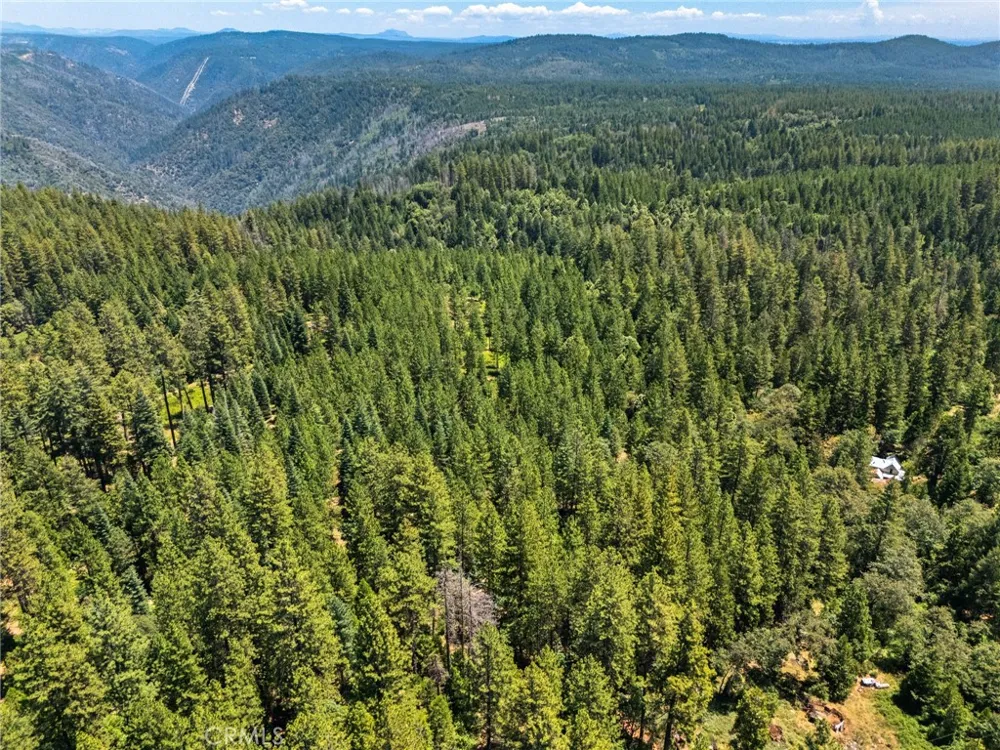 Old Forbestown Road Forbestown, CA 95941