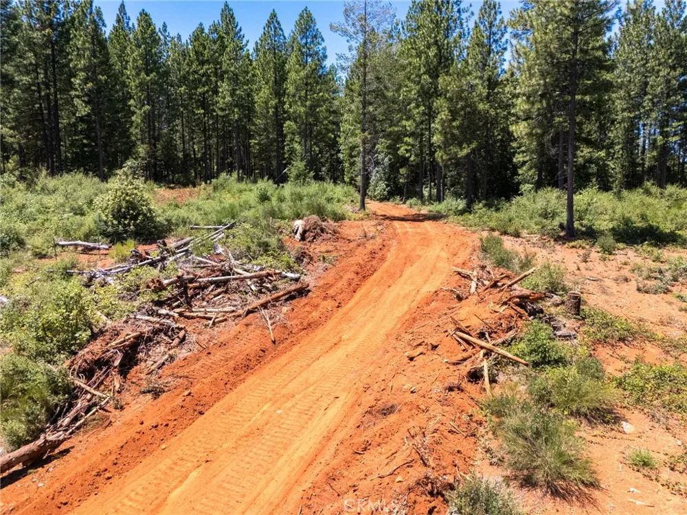Old Forbestown Road Forbestown, CA 95941