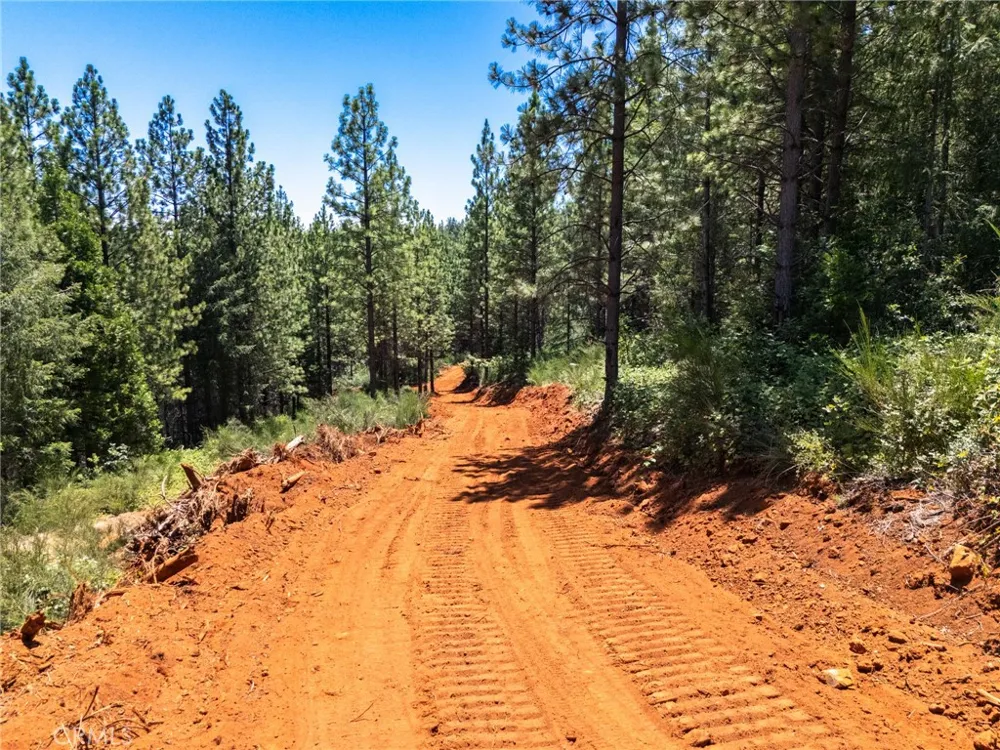 Old Forbestown Road Forbestown, CA 95941
