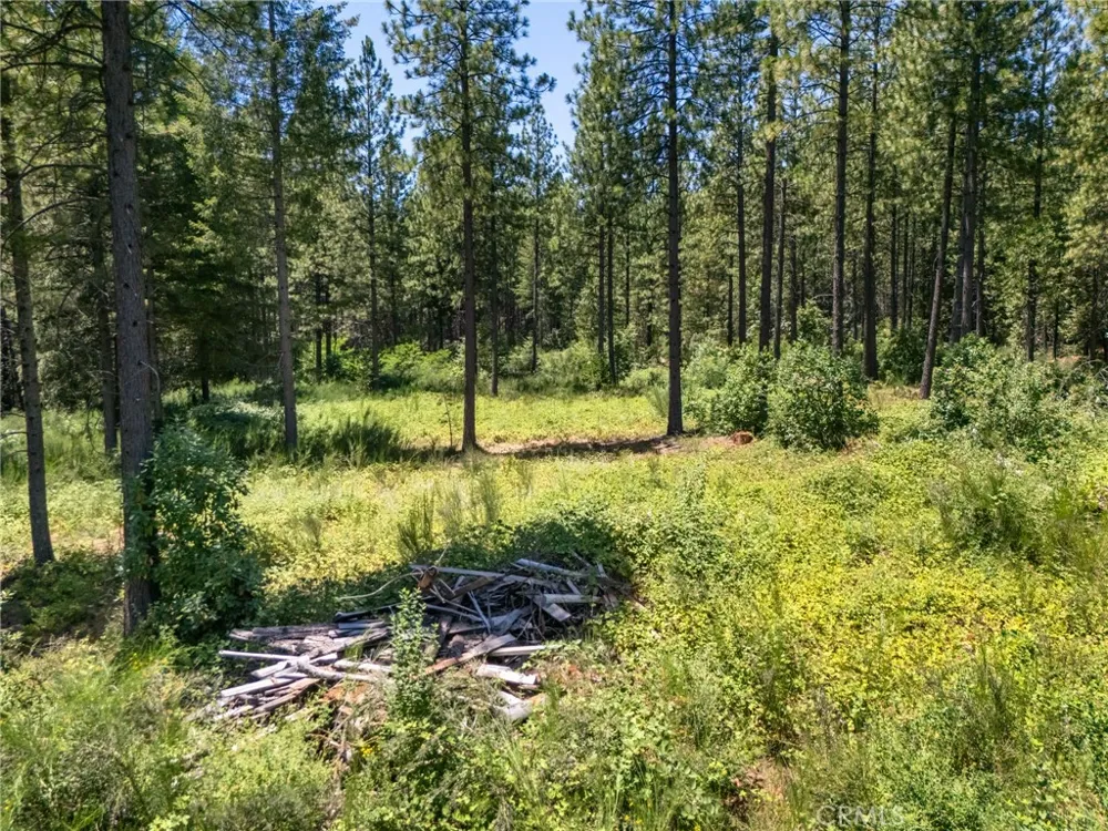 Old Forbestown Road Forbestown, CA 95941