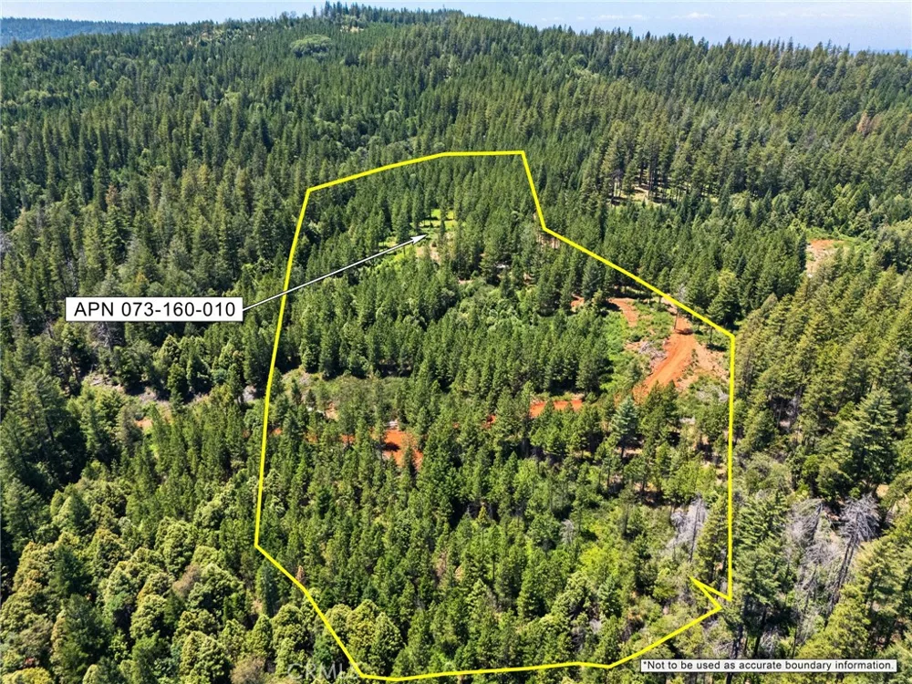 Old Forbestown Road Forbestown, CA 95941