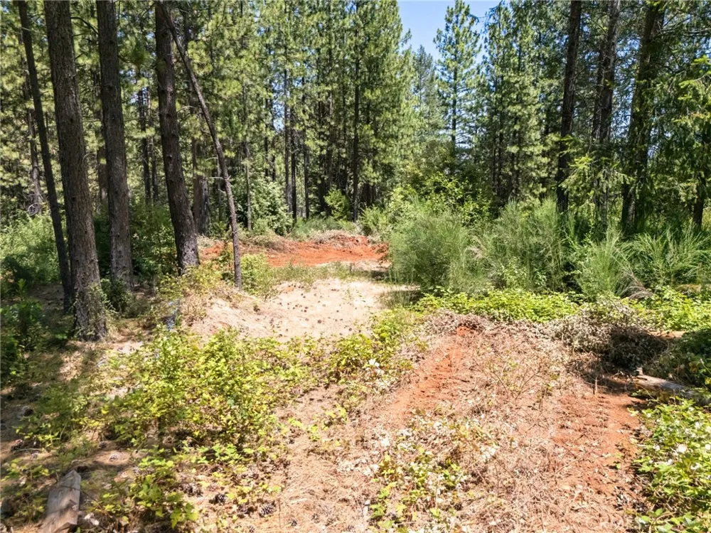 Old Forbestown Road Forbestown, CA 95941