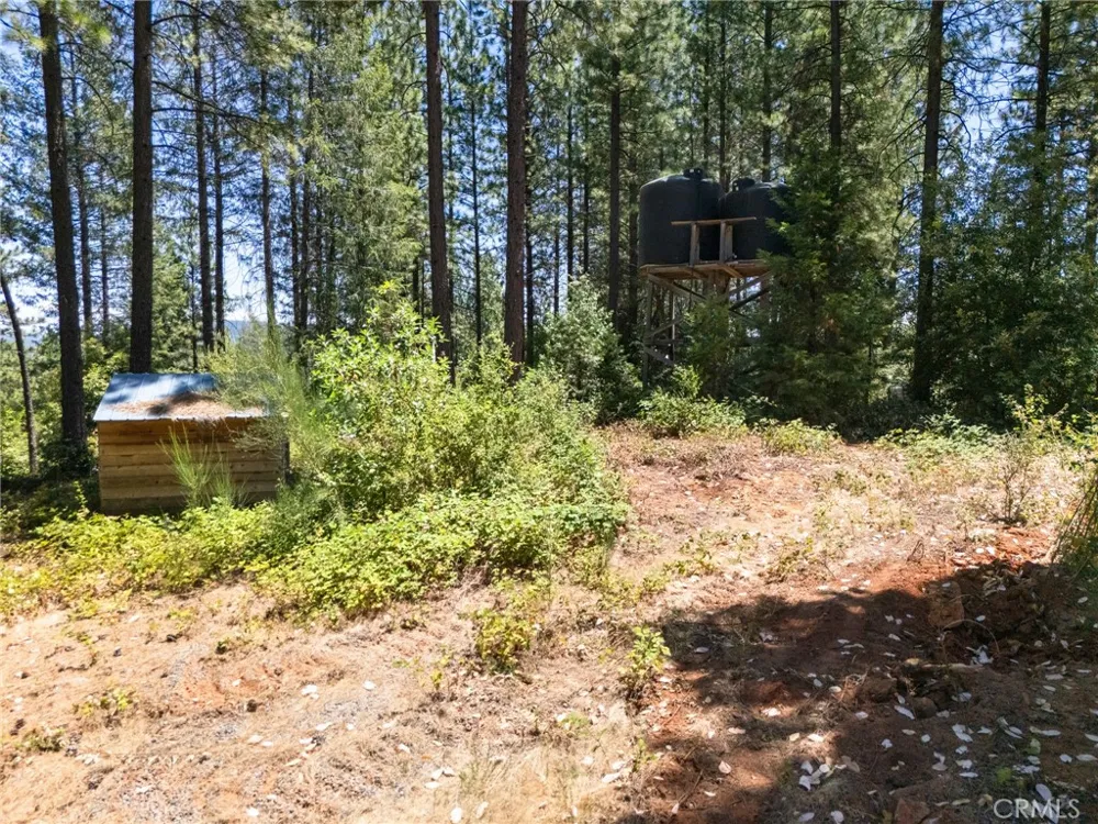 Old Forbestown Road Forbestown, CA 95941