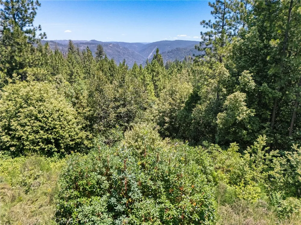 Old Forbestown Road Forbestown, CA 95941