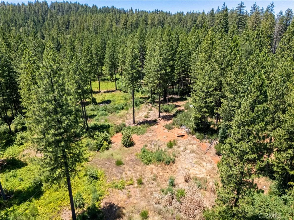 Old Forbestown Road Forbestown, CA 95941