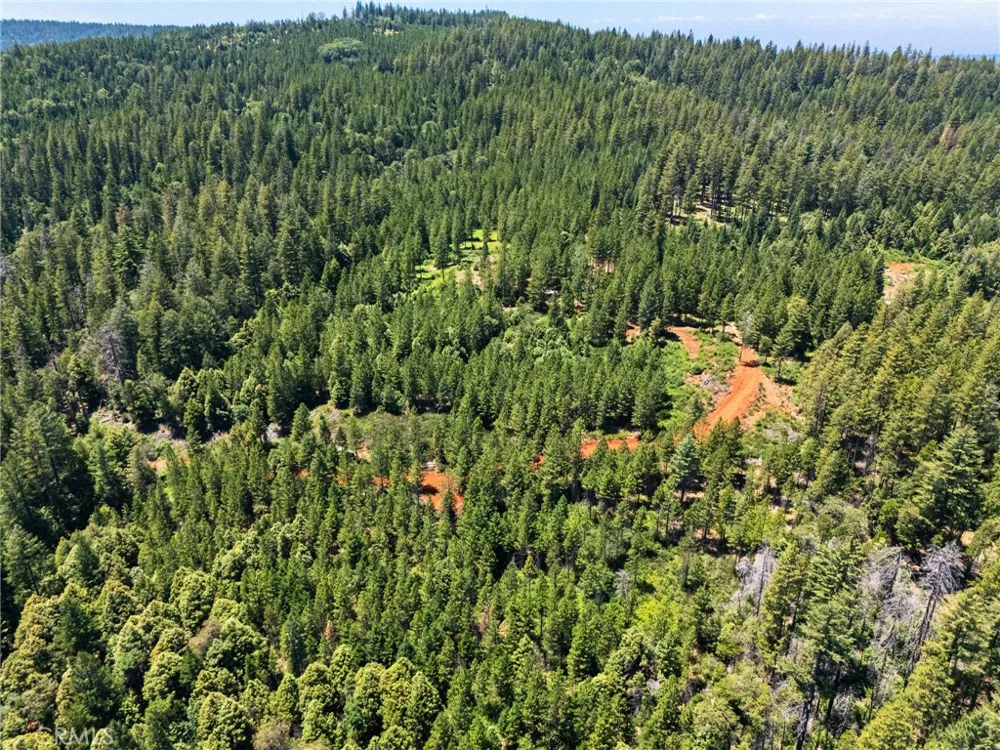 Old Forbestown Road Forbestown, CA 95941