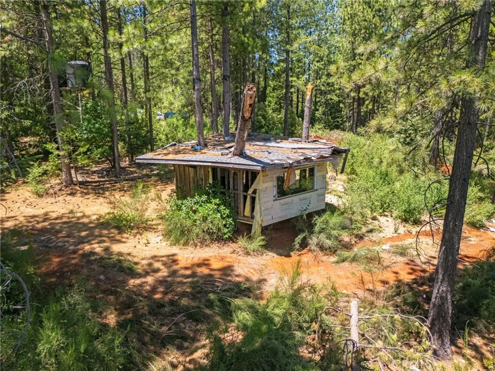 Old Forbestown Road Forbestown, CA 95941