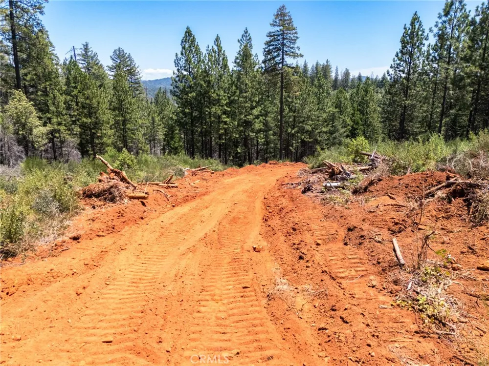 Old Forbestown Road Forbestown, CA 95941