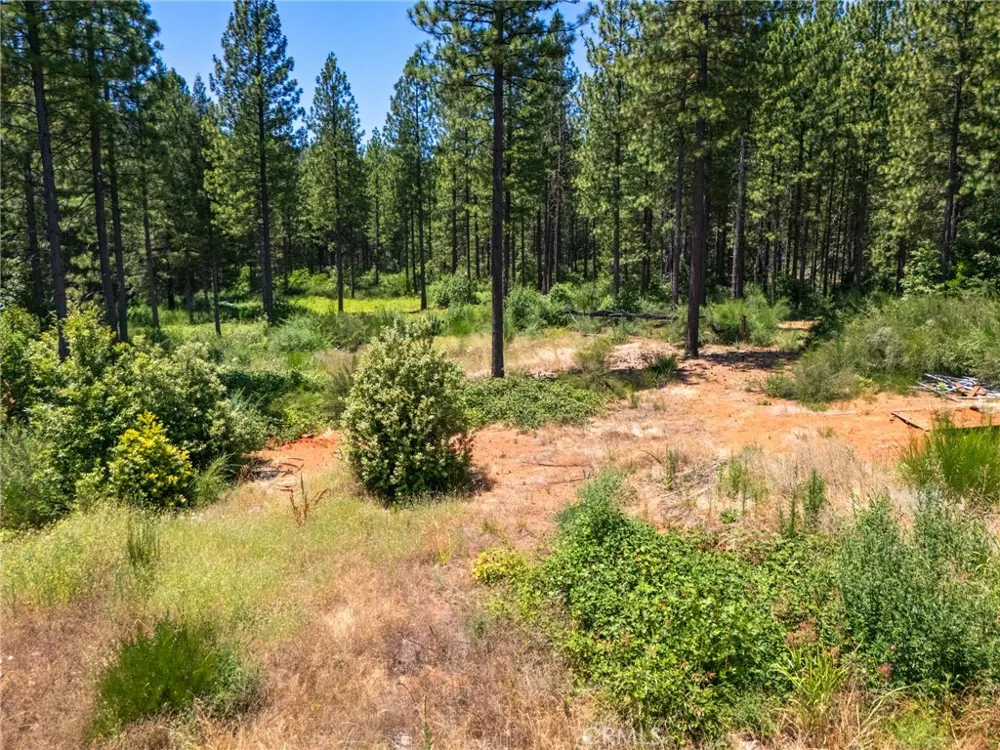 Old Forbestown Road Forbestown, CA 95941