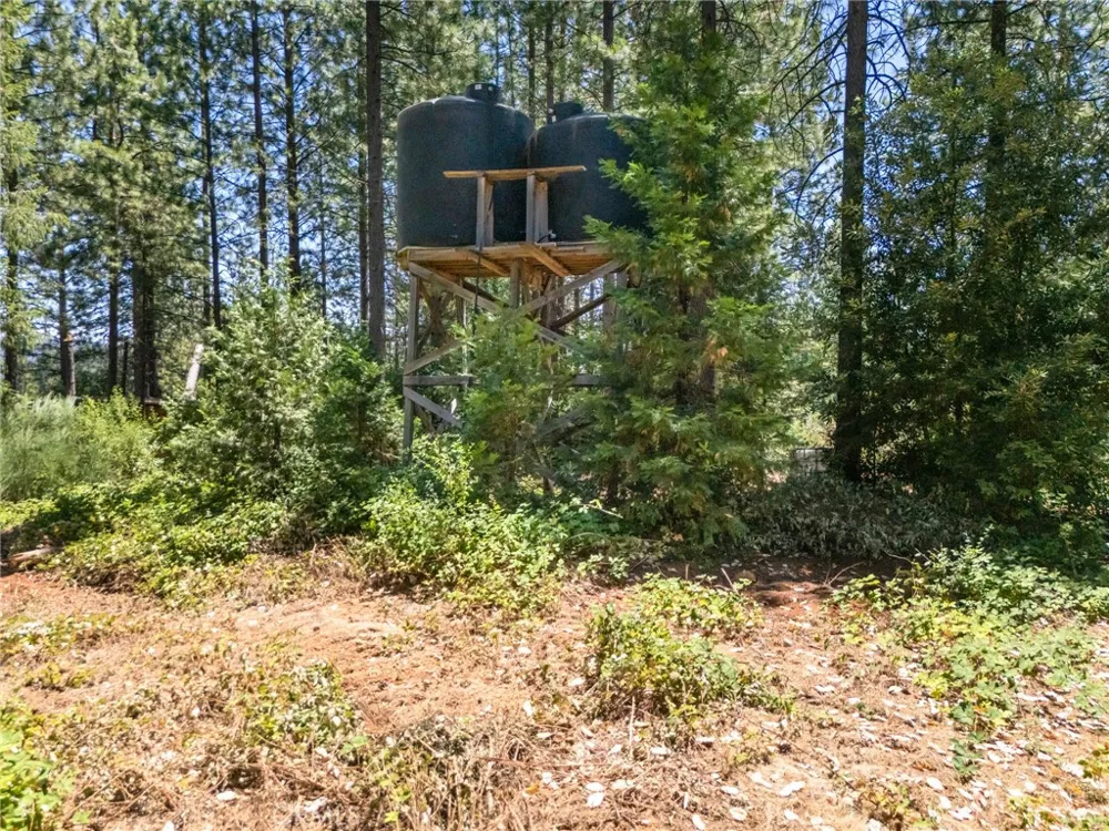 Old Forbestown Road Forbestown, CA 95941