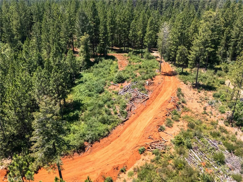 Old Forbestown Road Forbestown, CA 95941