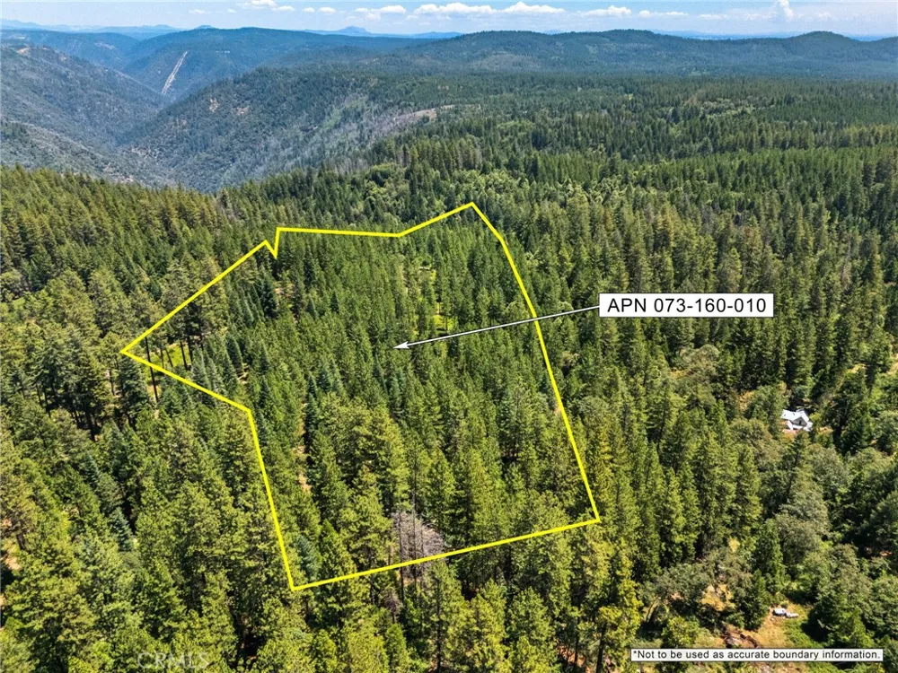 Old Forbestown Road Forbestown, CA 95941