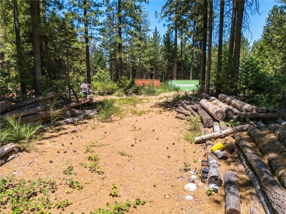 Old Forbestown Road Forbestown, CA 95941