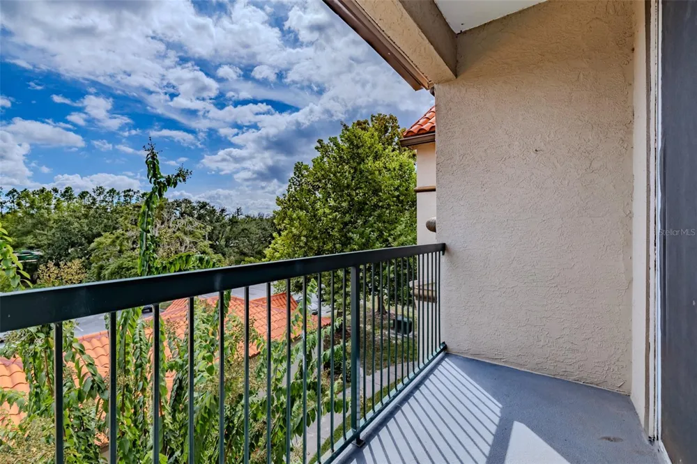 4201 WOODSTORKS WALK WAY #3302 Lutz, FL 33558