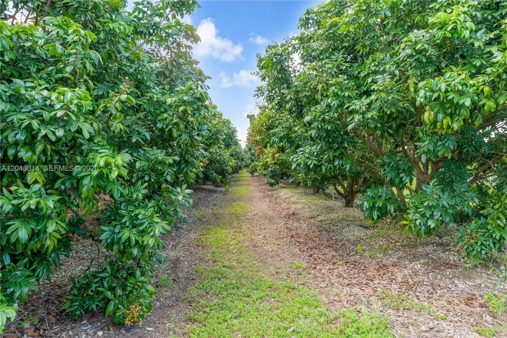 22401 SW 320th St Homestead, FL 33030