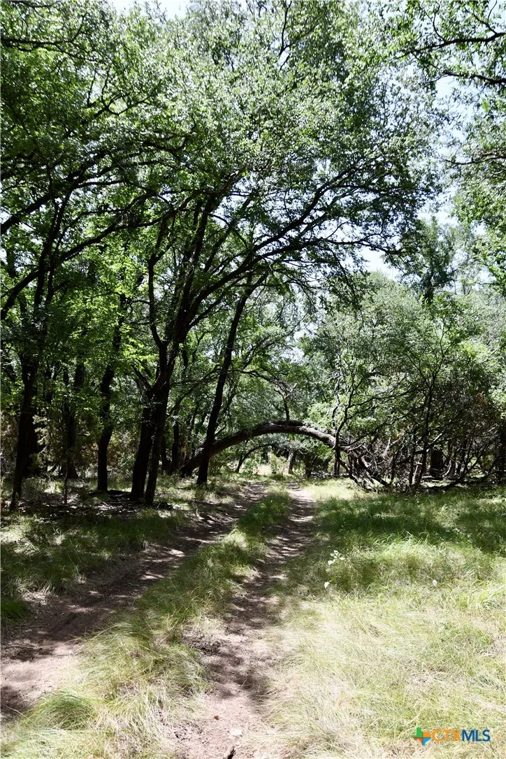 CR 3340 Kempner, TX 76539