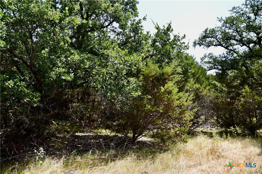 CR 3340 Kempner, TX 76539