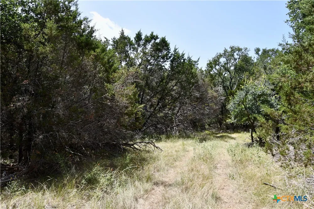 CR 3340 Kempner, TX 76539