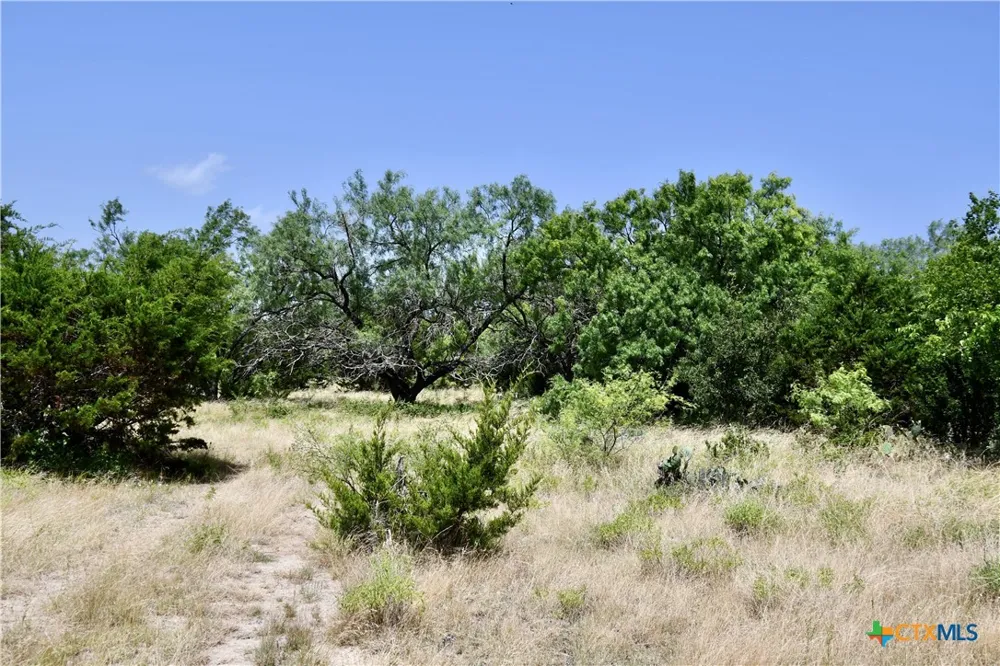 CR 3340 Kempner, TX 76539