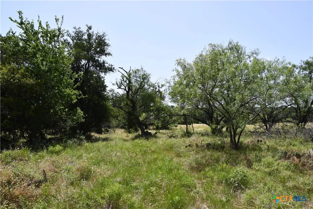 CR 3340 Kempner, TX 76539
