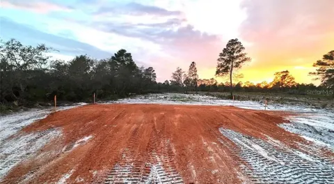 WOODSTORK WAY