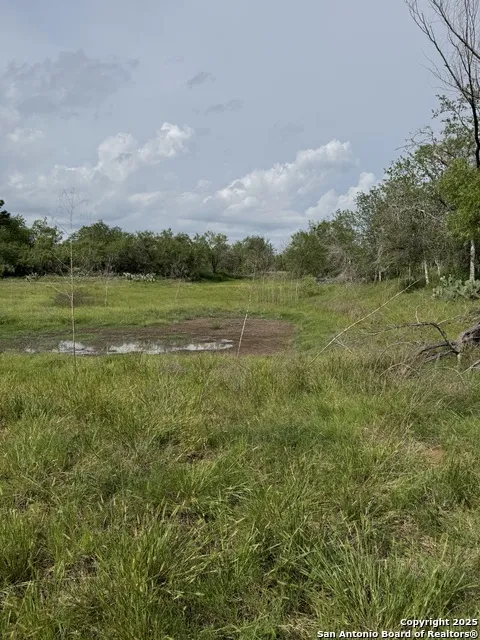 TBD E Gates Valley Poteet, TX 78065