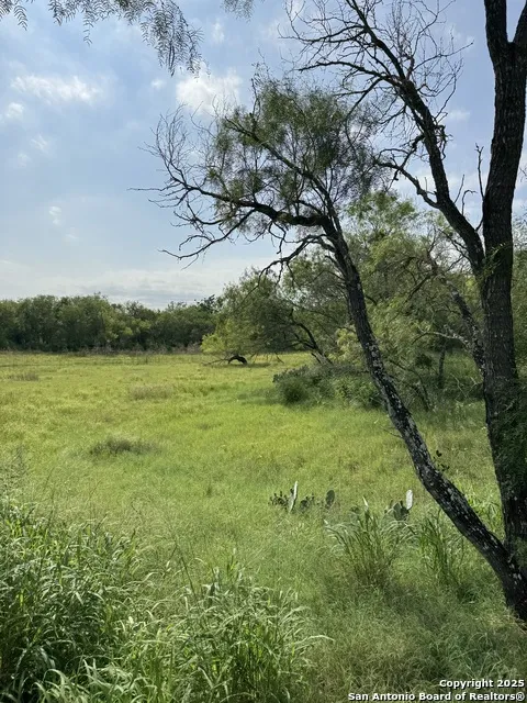 TBD E Gates Valley Poteet, TX 78065