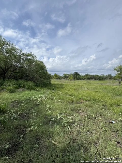 TBD E Gates Valley Poteet, TX 78065