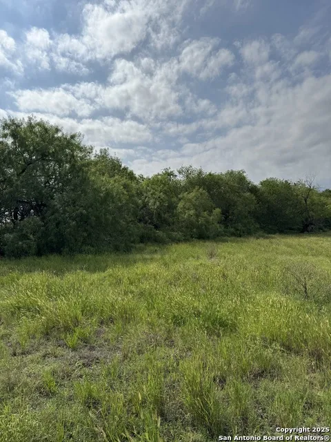 TBD E Gates Valley Poteet, TX 78065